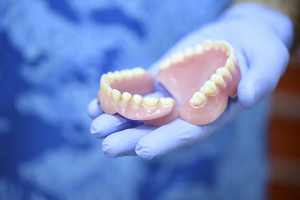 Dentist Holding Denture
