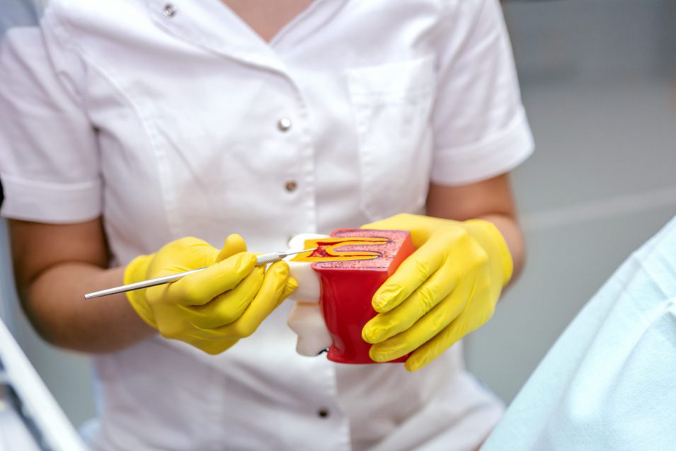 dentist discusses treatment options with patient and arranges to see an endodontics dental specialist in Brantford